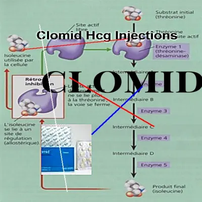 Le prix de clomid au maroc